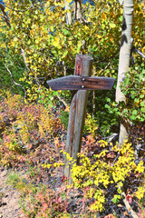 Box Elder Peak Hiking Trail, American Fork Canyon. Uinta-Wasatch-Cache National Forest, Wasatch...