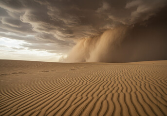 sand storm in the desert