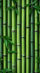 Fototapeta premium Lush Green Bamboo Stalks Nature Background Texture 