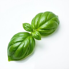 Fototapeta premium Top view close-up of fresh green basil leaves on white background. Aromatic flavor enhancer, healthy herb, natural spice for culinary use. Ingredient for Italian cuisine, salads and cooking.