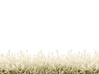 Fototapeta premium Dreamy Realistic Fields in Soft Textures for Creative Space and Background Applications