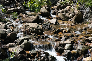 Mountain creek flowing over rocks Guanella Pass Colorado