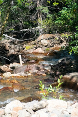 Guanella Pass Colorado Waterfall