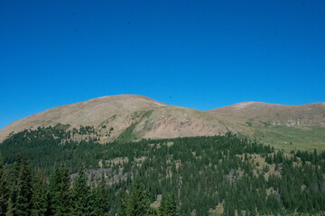 Pine Covered Colorado Rocky Mountain Landscapes 