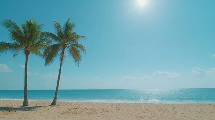 Obraz premium Two palm trees standing on a sandy beach with ocean waves and clear blue sky in the background