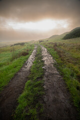 Sun Lights up Clouds Beyond Muddy Trail