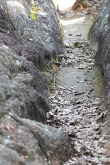 elephant rock and johnson shut landscape shots