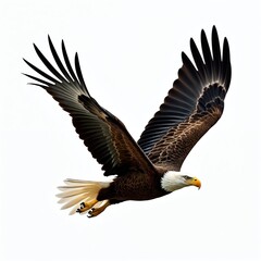 Obraz premium Majestic bald eagle soars in flight with spread wings on white background. A symbol of American freedom and power. Powerful predator flies on pure white background.