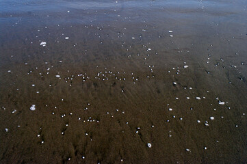広大な砂浜の先に延々と広がる太平洋。波が絶え間なく打ち寄せ、そして引いていく。決して留まることは無い。音を立てて寄せる波。そして音もなく砂浜を滑るように押し寄せて来る波。小さな泡を砂浜の上に残していく。太陽の光が眩しいほどに波を輝かせる。誰も居ない海。静寂な時が流れていく。のどかな風景。時が経つのも忘れて私はいつまでもこの景色を眺めていた。