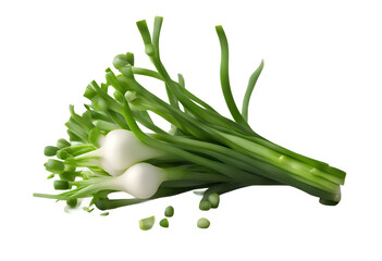 green focus chives leaf white clipping stacking healthy isolated bunch onion raw png cooking ingredient fresh path field young vegetarian full diet group background organic vegetable food depth
