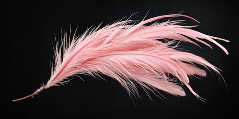 Obraz premium A feathered flamingo tail, showcasing long and delicate pink feathers in high detail. 