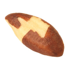 One tasty Brazil nut isolated on white