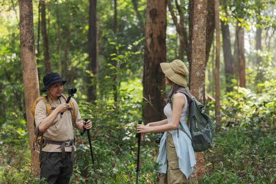 A travel blogger couple explores the forest, capturing stunning moments with their camera. They review photos together, documenting their adventure and sharing their experiences with the world.