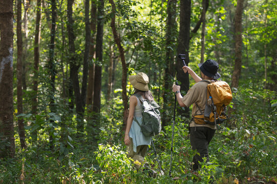 A travel blogger couple explores the forest, capturing stunning moments with their camera. They review photos together, documenting their adventure and sharing their experiences with the world.