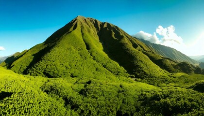 緑豊かな小山