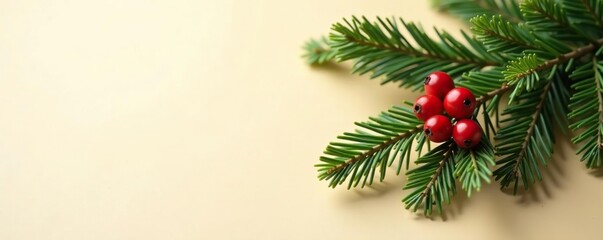 A fir branch adorned with festive red holly berries against a neutral beige background, holiday, foliage