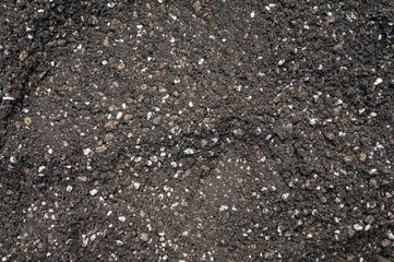 Full frame shot of good potting soil mix for planting cactus and succulents. Soil for cactus plants needs to be porous and free draining so it doesn't hold on to moisture.