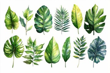 Tropical Leaves Watercolor Illustration Set with Exotic Foliage Plants Greenery on White Background