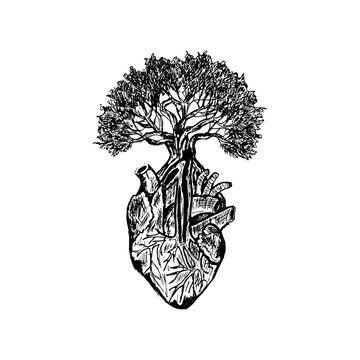Hand-drawn sketch illustration of a human heart with a tree growing out of it.