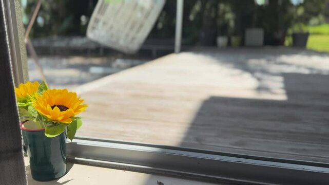 Sunflowers in a cup sitting bide a window to a wooden patio deck and green grass garden in Auckland, New Zealand.