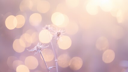 Dreamy Pastel Bokeh Background with Soft Glowing Lights  
