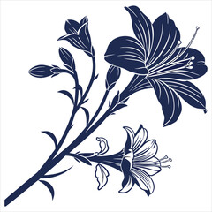 silhouette flower on white background 