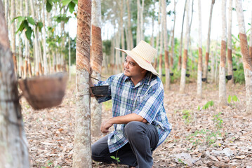 Farmer agriculturist Rubber tree plantation