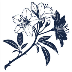 silhouette flower on white background 