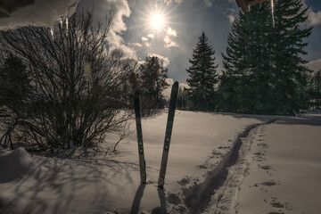 Trail thru the snow in the evening; Grand Teton NP; Wyoming