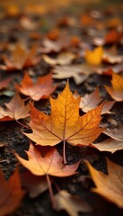 Dry leaves scatter on the ground as nature transitions to winter colors, decay, orange, foliage