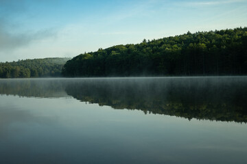 Obraz premium lake in the forest