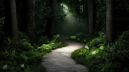 Serene forest path, sunlight, lush greenery, mystery, nature escape