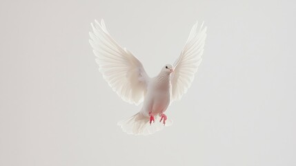 Fototapeta premium A white dove in flight, symbolizing peace and freedom against a light background.