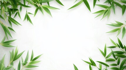 Green Bamboo Leaves Frame on a Light Background for Design Projects