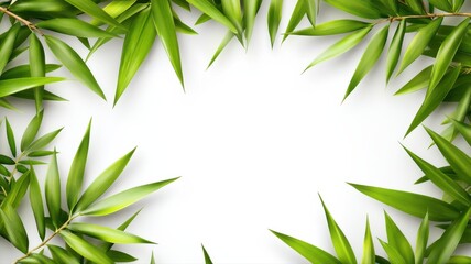 Obraz premium Green Bamboo Leaves Surrounding Blank Space for Creative Use