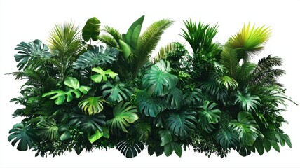 Lush Green Tropical Foliage Wall with Various Plant Textures