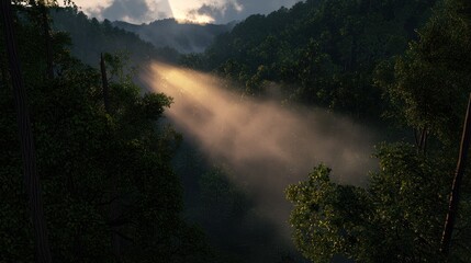 Sunlight filters through misty forest, illuminating trees and creating a serene atmosphere
