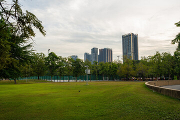 Green meadow grass in city public park city office building background sky clound