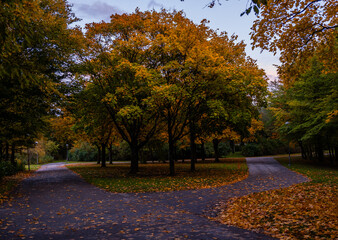 A picturesque path with stunning autumn-colored trees