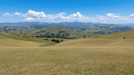 Fototapeta premium Rolling Hills Meadow under a Blue Sky. Possible use Stock photo