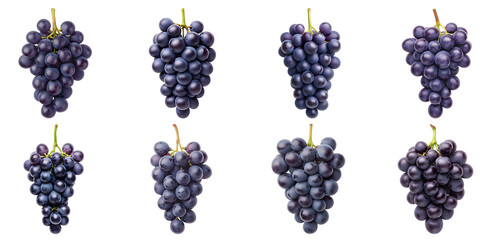 Collection of various Zinfandel grapes, dark purple and round, grown in clusters with visible stems isolated on white transparent background PNG set