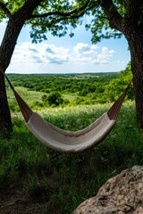 A hammock strung between two trees overlooking a green landscape.