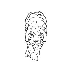 Tiger ready to pounce on its prey illustrator logo design 