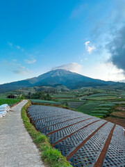 View of vegetable plantations on the slopes of Mount Sumbing with a cloudy blue sky