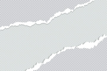Ripped Torn paper sheet edge on Blank background with curled page