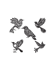 set of birds vector art design