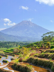 Rice terraces filled with water and a background of mountains and blue sky