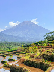 Rice terraces filled with water and a background of mountains and blue sky