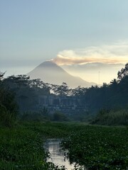 a stream filled with aquatic plants with a mountain background in the morning
