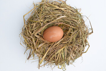 Raw chicken eggs in a nest on a straw pillow, isolated white background. top view. Easter holiday concept
